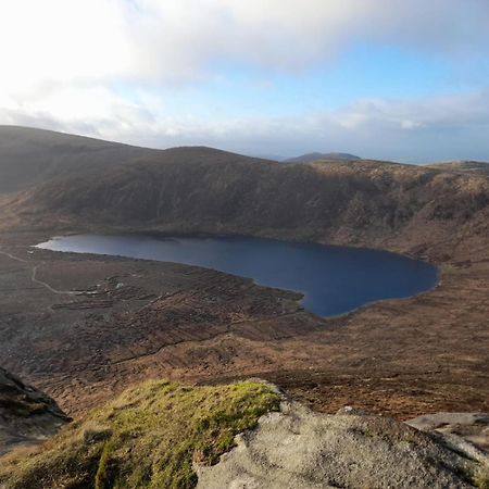 Appartamento The Mournes View Farmhouse Newcastle  Esterno foto